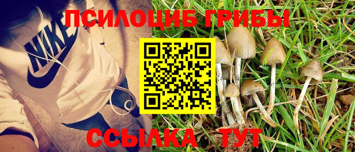 Галлюциногенные грибы прущие грибы  Вход с VPN  Псилоцибиновые грибы Magic Shrooms  Кызыл 